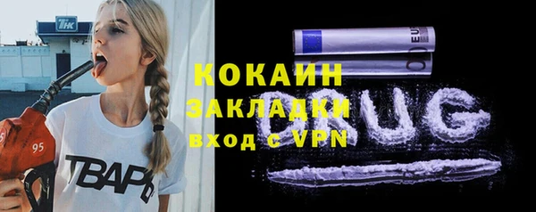 твердый Алексин
