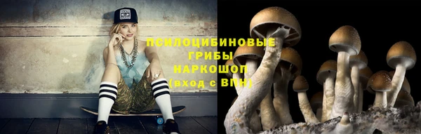 гидропоника Абдулино
