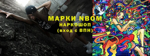 индика Абинск