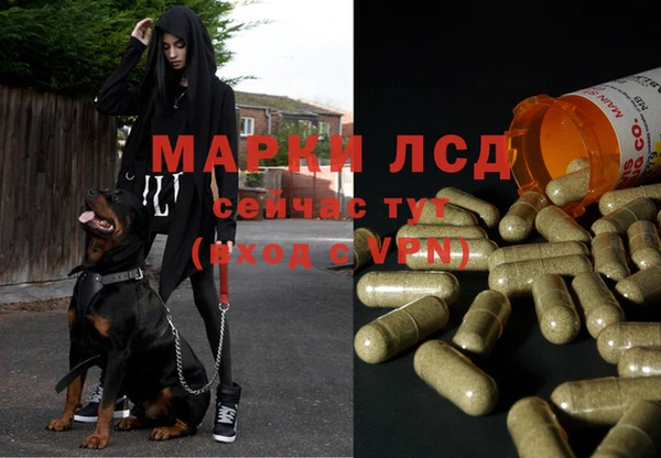 индика Абинск