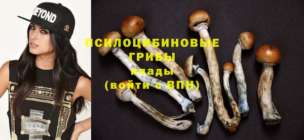 индика Абинск