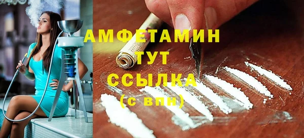 индика Абинск