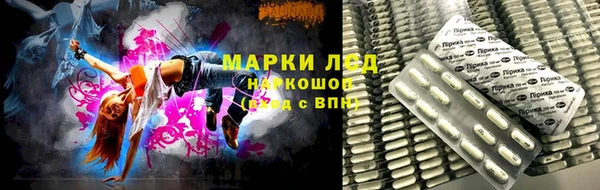 индика Абинск
