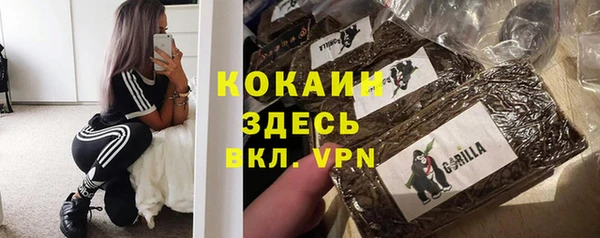 индика Абинск