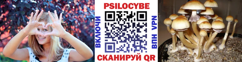 Галлюциногенные грибы мицелий  Южноуральск 